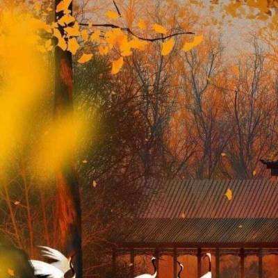 北京市属公园及中国园林博物馆初夏赏花攻略来了，多图直击